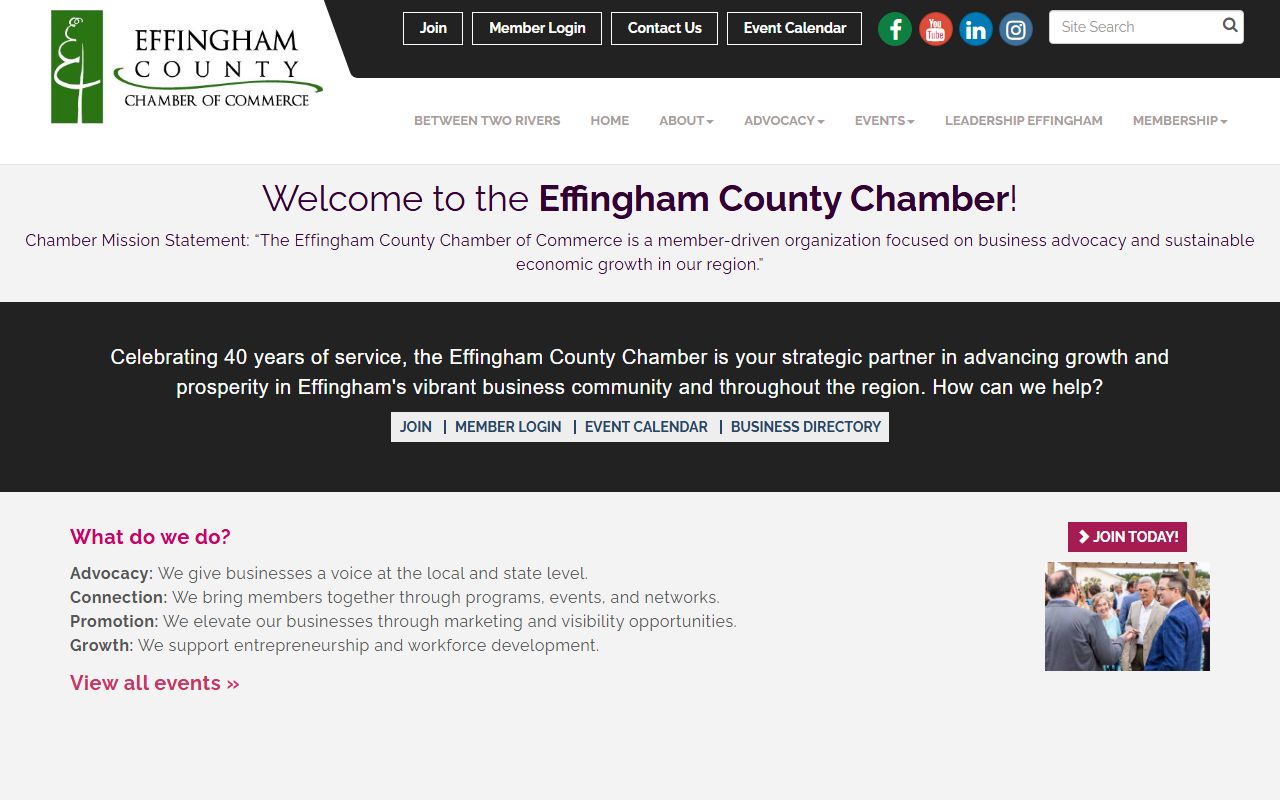 Effingham County portal for warrant records search